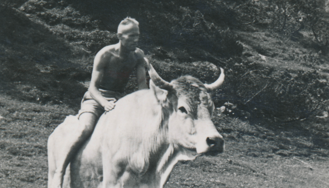 Betriebsratsobmann Sepp Filz @heimo_halbrainer.jpg Betriebsratsobmann Sepp Filz @heimo_halbrainer.jpg